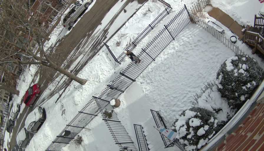 Reolink Camera Two_01_Reolink Home Hub One_20260130130137.jpg